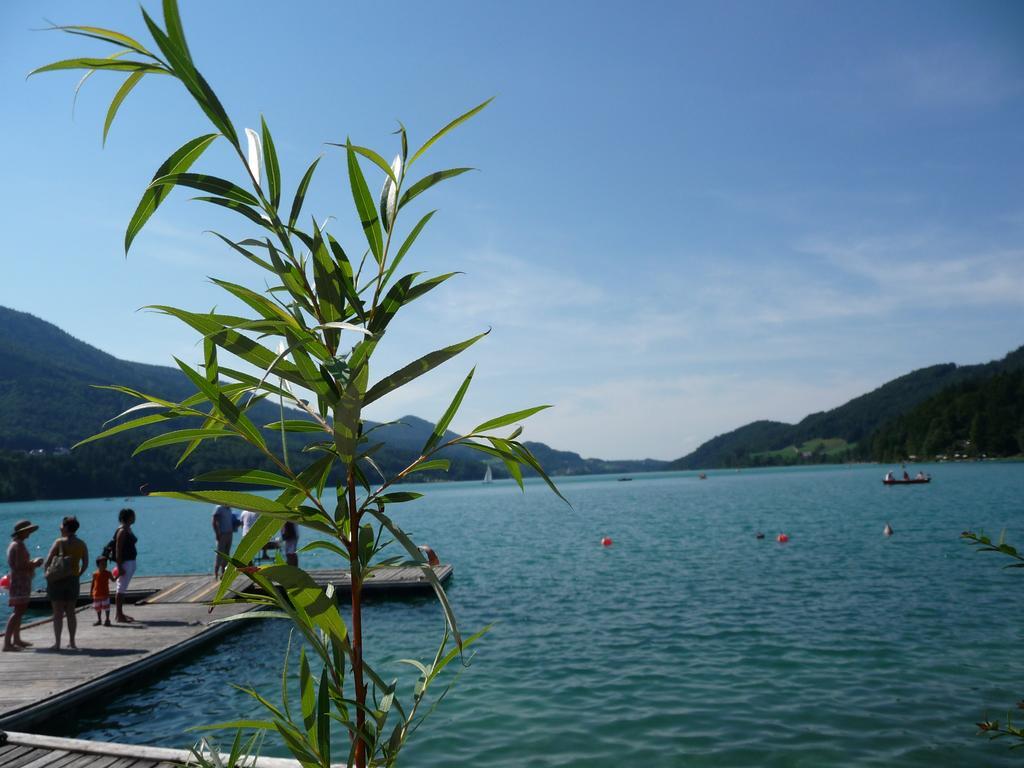 Haus Lungau Daire Fuschl am See Dış mekan fotoğraf